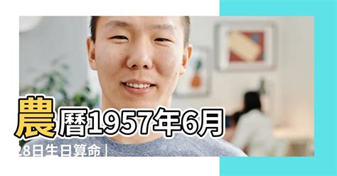 11月28日出生的藝人